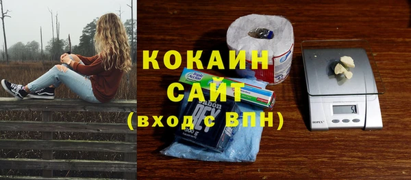 бошки Каменка