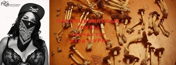 бошки Каменка