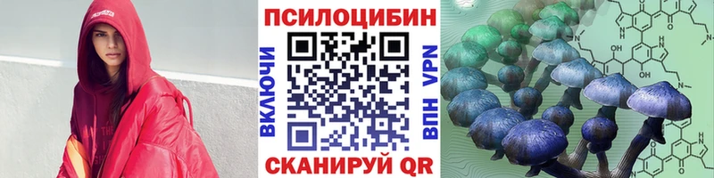 Галлюциногенные грибы Psilocybe  Инза 